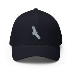 Eagle Silhouette 1776 Embroidered Cap - Mainstream Freedom