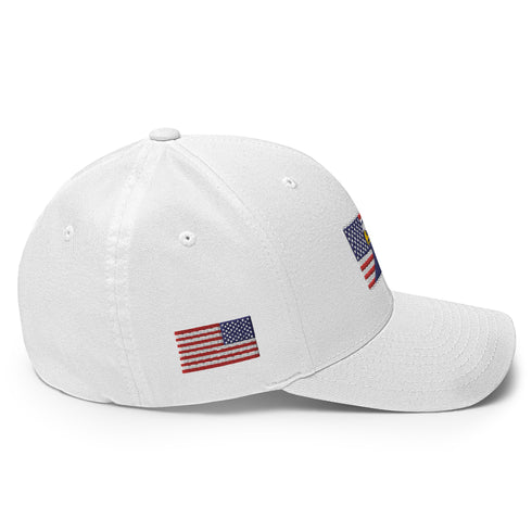 Eagle American Flag Structured Twill Cap - Mainstream Freedom