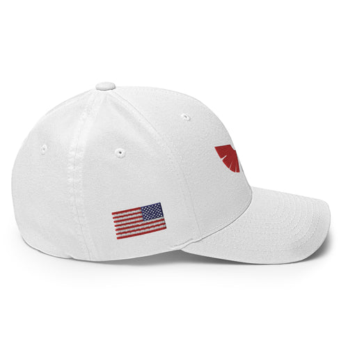 Eagle Freedom Symbol Structured Twill Cap - Mainstream Freedom