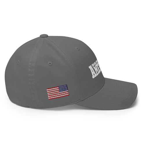 American (Pro-God, Pro-Life, Pro-Gun) Patriotic Embroidered Structured Twill Cap - Mainstream Freedom