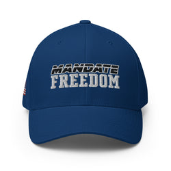 Mandate Freedom Embroidered Structured Twill Cap - Pro USA & Freedom Cap/Hat - Mainstream Freedom