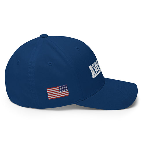 American (Pro-God, Pro-Life, Pro-Gun) Patriotic Embroidered Structured Twill Cap - Mainstream Freedom