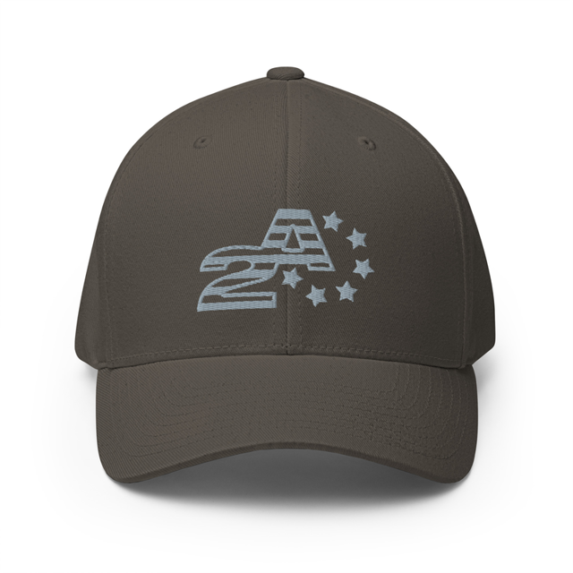 2A Freedom Guard Striped Grey Embroidered Cap in Dark Grey, product mockup