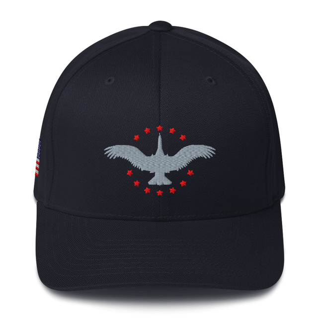 Wings of Liberty Grey & Red Embroidered Cap, second view