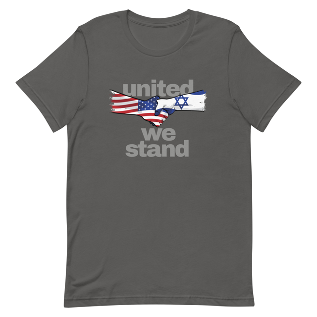 United We Stand Israel and America t-shirt in asphalt grey, product mockup