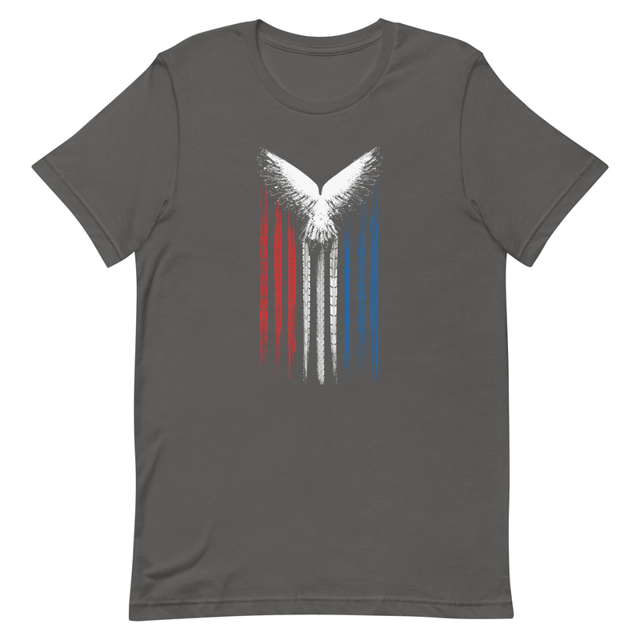 American Patriot Eagle Symbol t-shirt in Asphalt, product photo