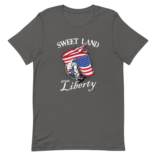 Sweet Land Of Liberty t-shirt in Asphalt colorway, product mockup