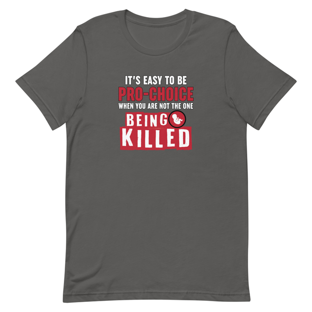 It's Easy to be Pro-Choice t-shirt in Asphalt grey