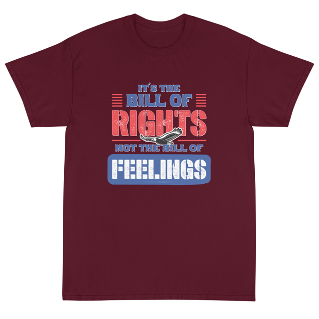 Its The Bill Of Rights Not Feelings Pro Constitution & Pro American T-Shirt, second view