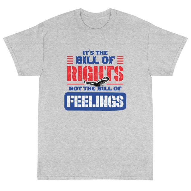 Bill of Rights Not Feelings t-shirt in ash colorway, product mockup